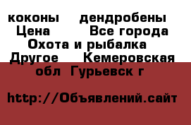 коконы    дендробены › Цена ­ 25 - Все города Охота и рыбалка » Другое   . Кемеровская обл.,Гурьевск г.